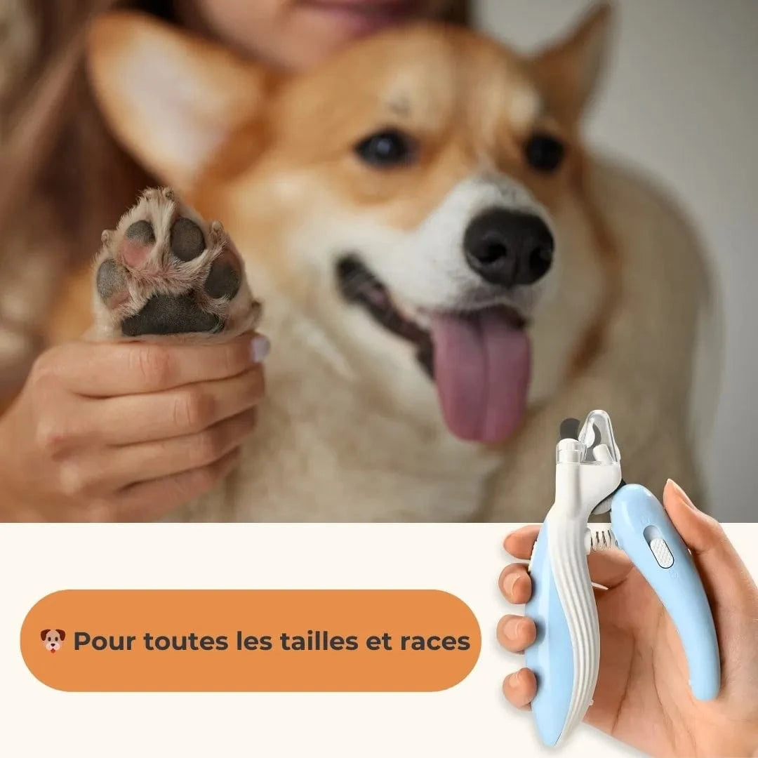 Coupe ongle pour chiens avec LED - sécurité & précision