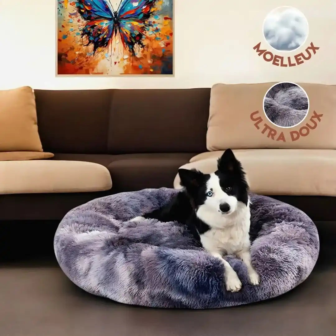 Coussin Apaisant pour Chien - CoconRelax