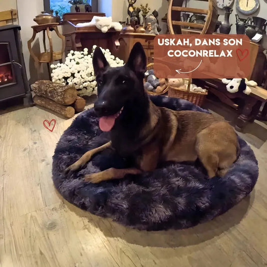 Coussin Apaisant pour Chien - CoconRelax