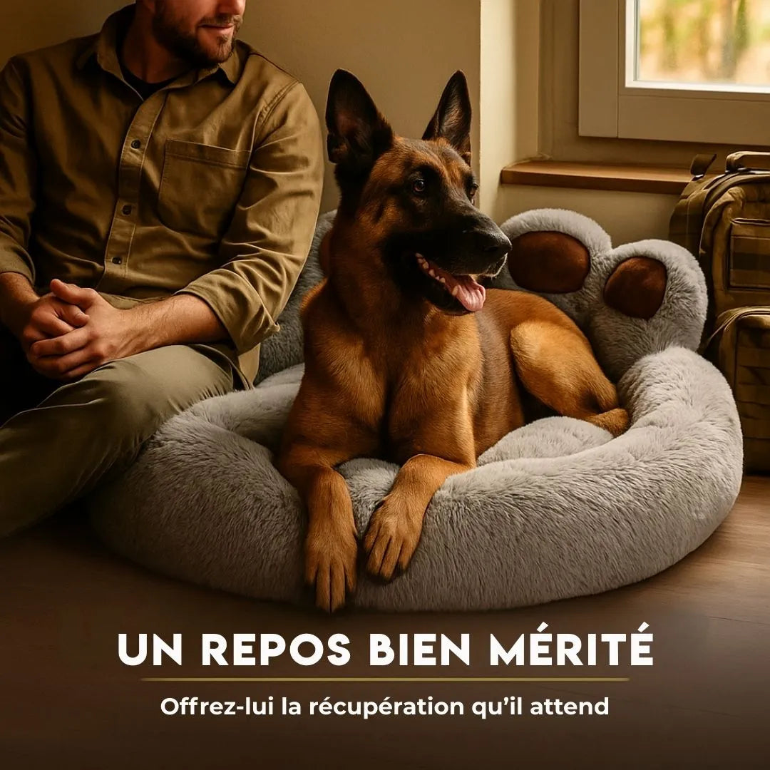 Coussin douillet pour chien - CosyPatte | Design en forme de patte
