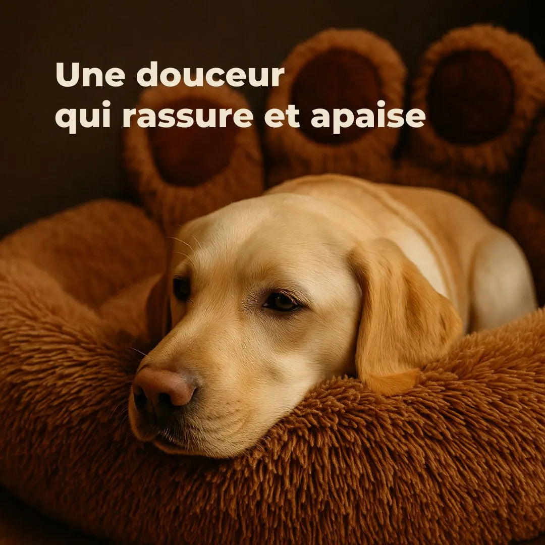 Coussin douillet pour chien - CosyPatte | Design en forme de patte