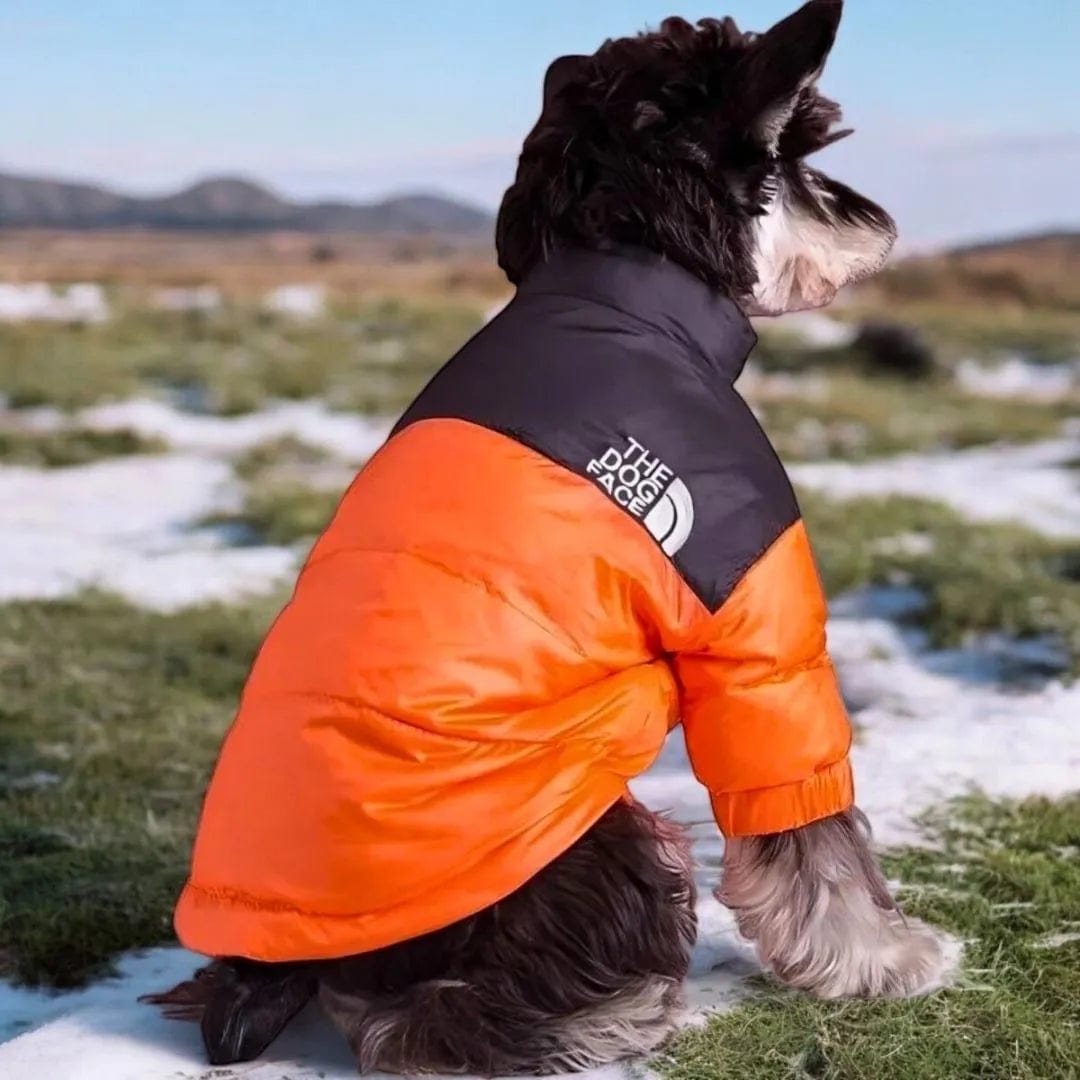 Doudoune chien The Dog Face : Look et chaleur garantis