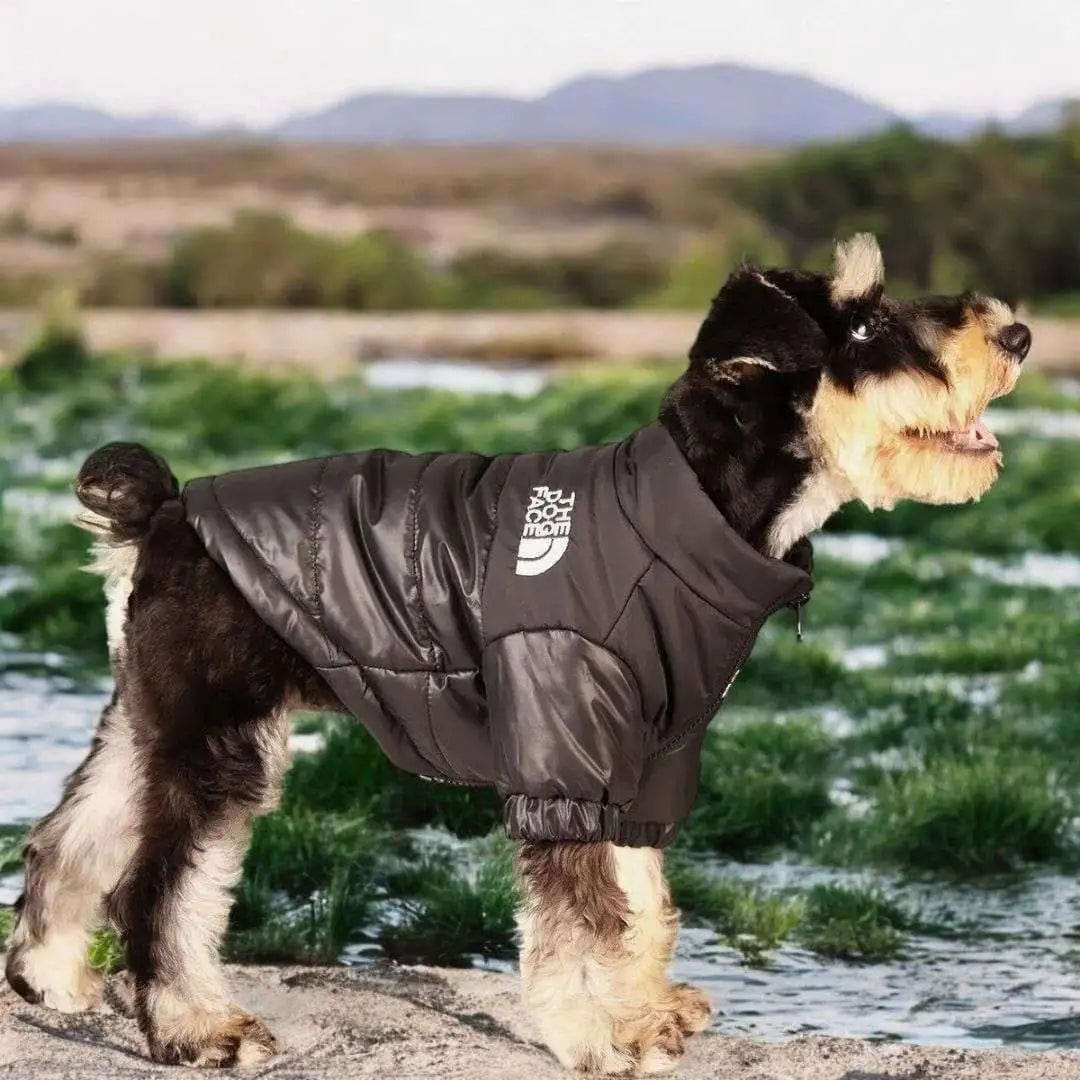 Doudoune chien The Dog Face : Look et chaleur garantis