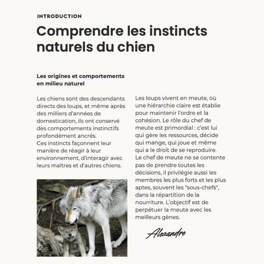 eBook "Les Fondamentaux pour un Compagnon Équilibré"