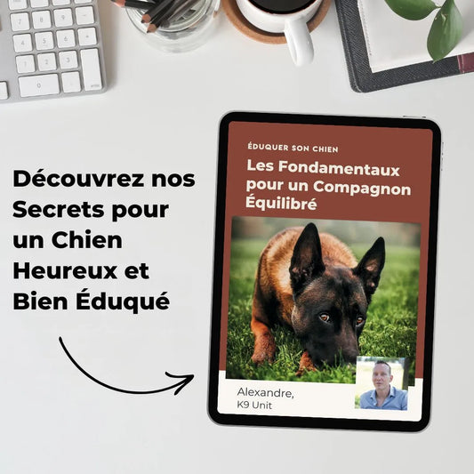 eBook "Les Fondamentaux pour un Compagnon Équilibré"