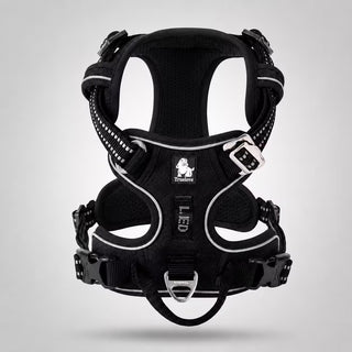 Harnais anti-traction - reprenez le contrôle sans gêner votre chien