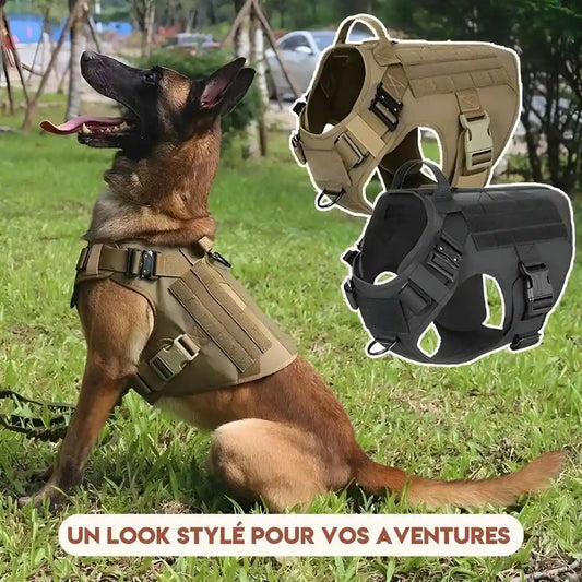 Harnais Tactique Chien - TactiK9 Pro