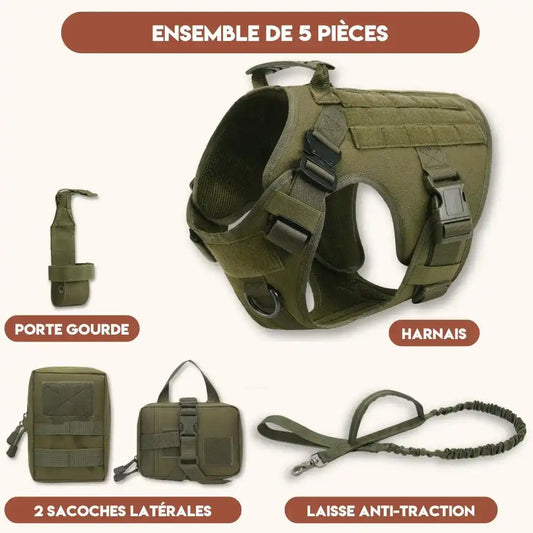 Harnais Tactique Chien - TactiK9 Pro