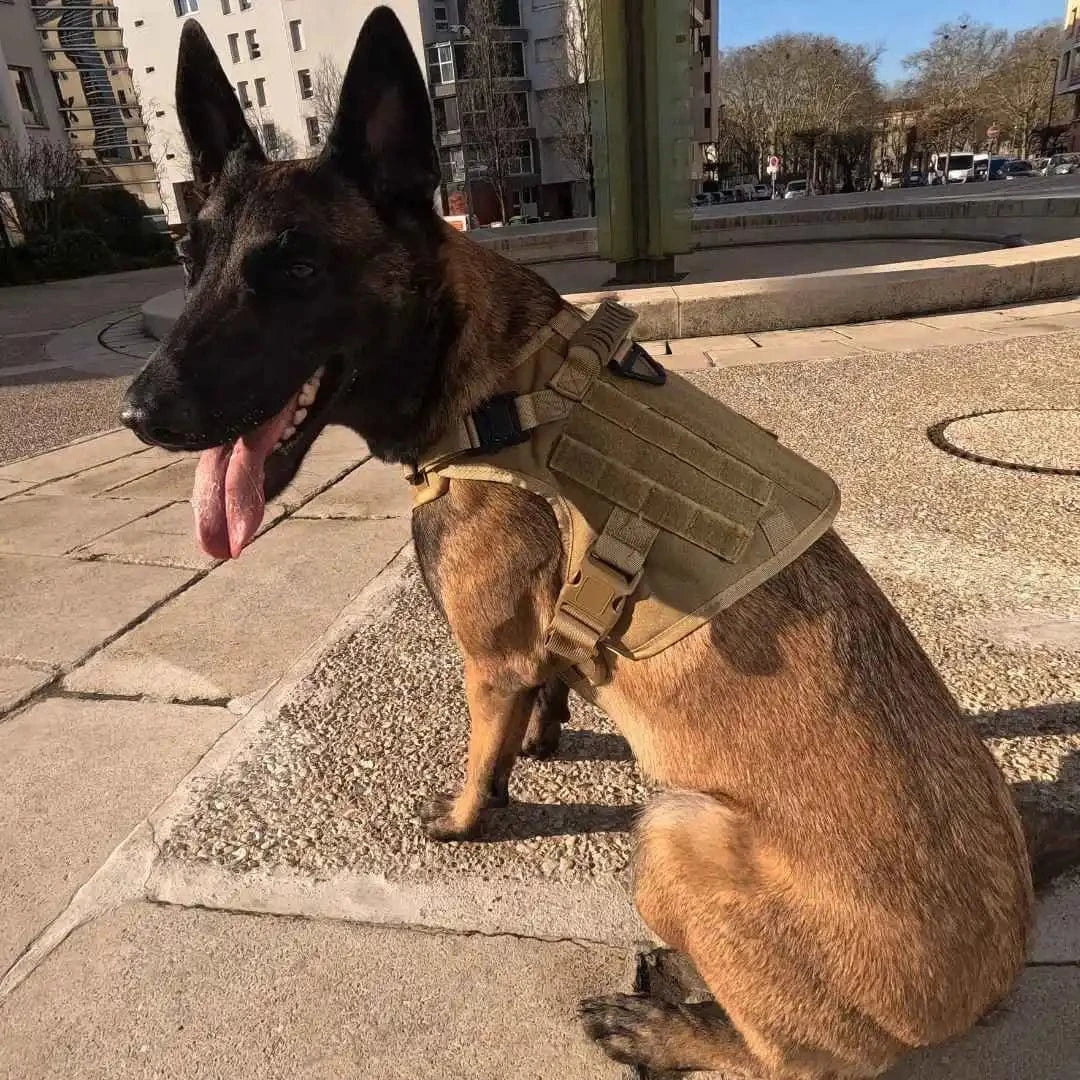 Harnais tactique chien - TactiK9 Pro | K9 Unit