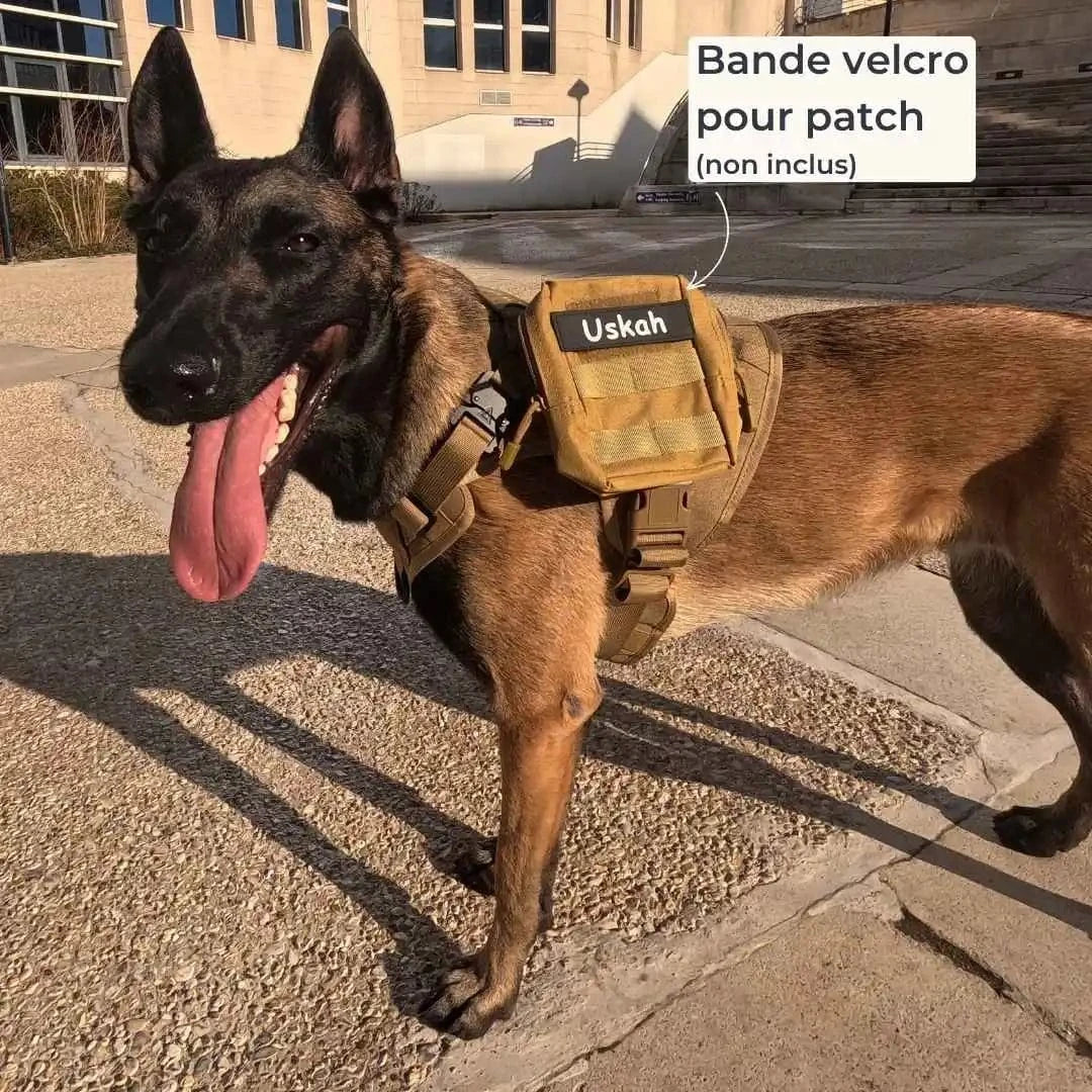 Harnais tactique chien - TactiK9 Pro | K9 Unit