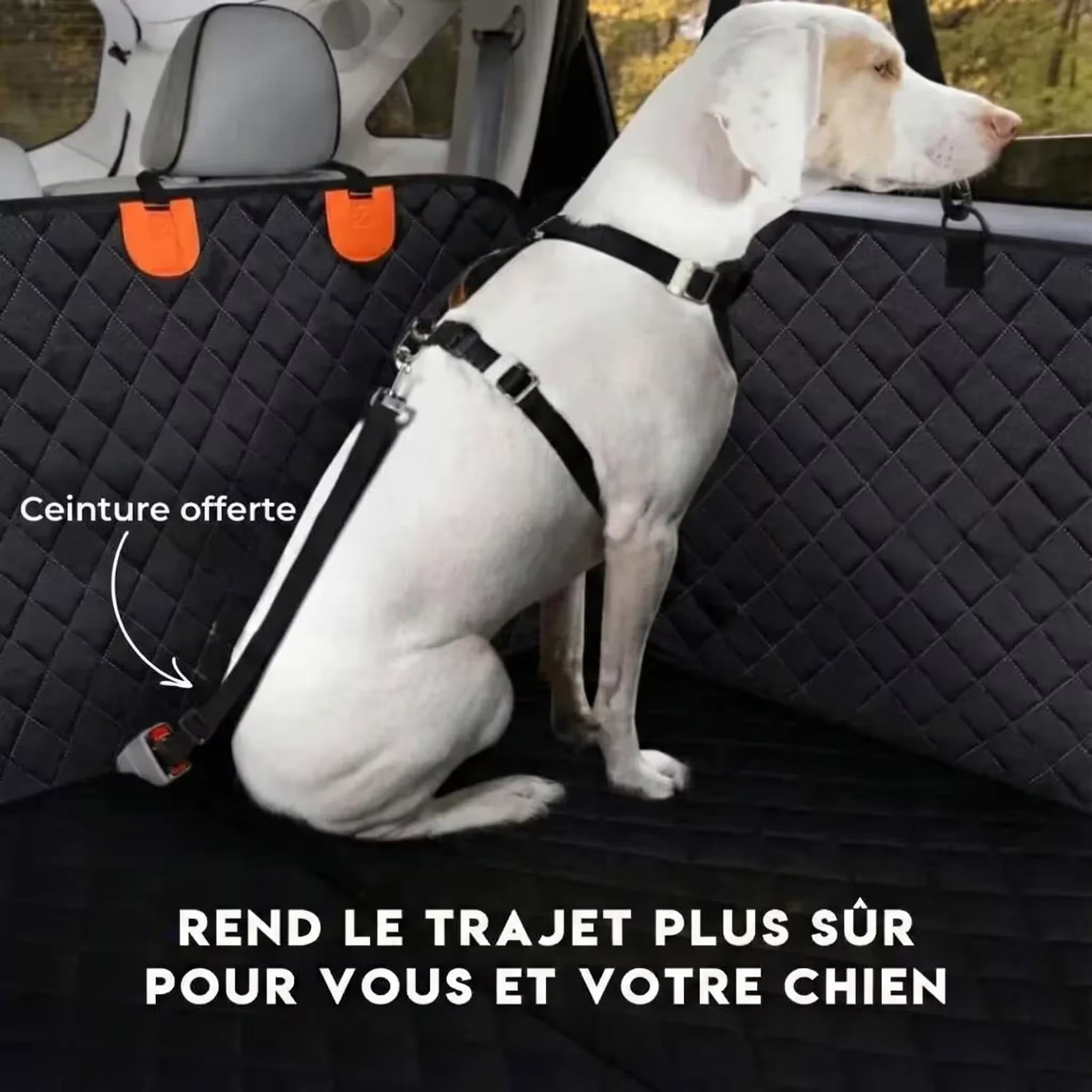 Housse Voiture Chien à Fond Rigide notée 4.7/5 | K9 GuardShield