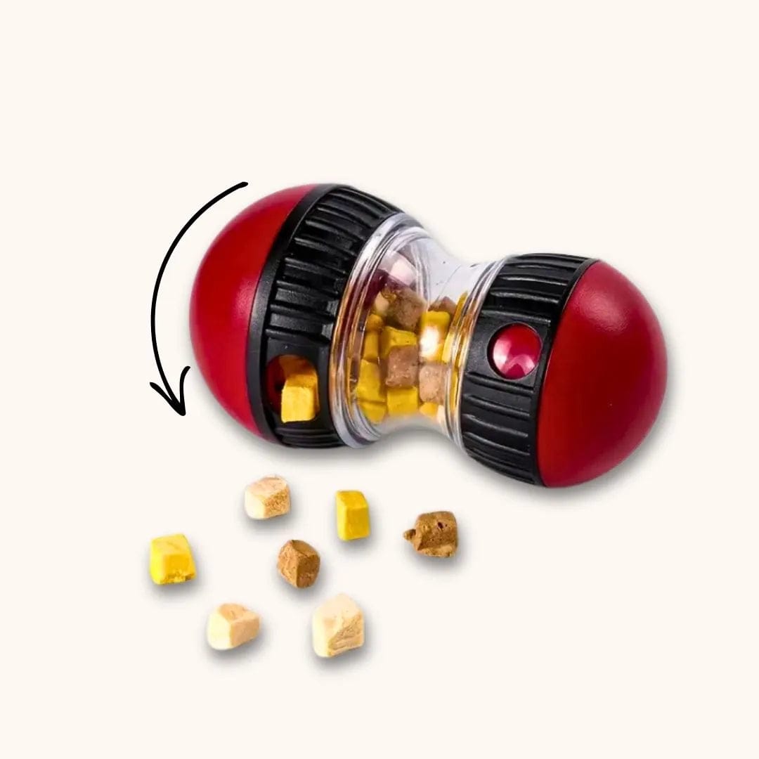 jouet chien distributeur de croquette