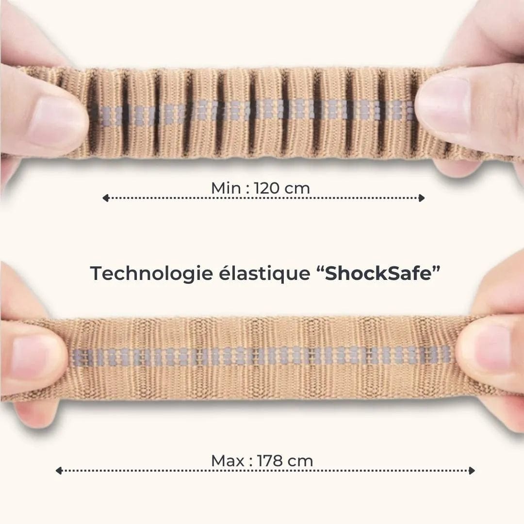 Laisse élastique ShockSafe – Laisse amortisseur ultime