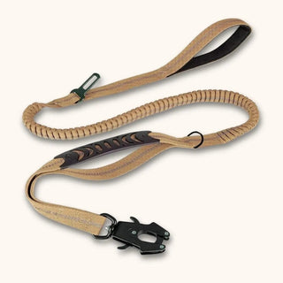 Laisse élastique pour chien ShockSafe – double poignée