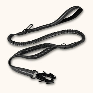 Laisse élastique pour chien ShockSafe – double poignée