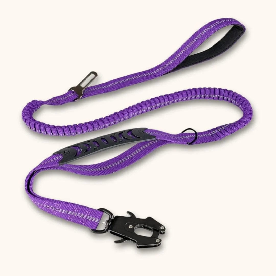 Laisse élastique ShockSafe – Laisse amortisseur ultime Violet