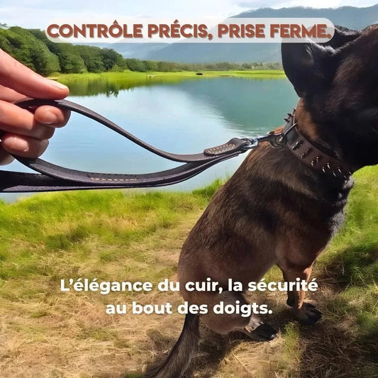 Laisse haut de gamme en cuir pour gros chien, 2 poignées