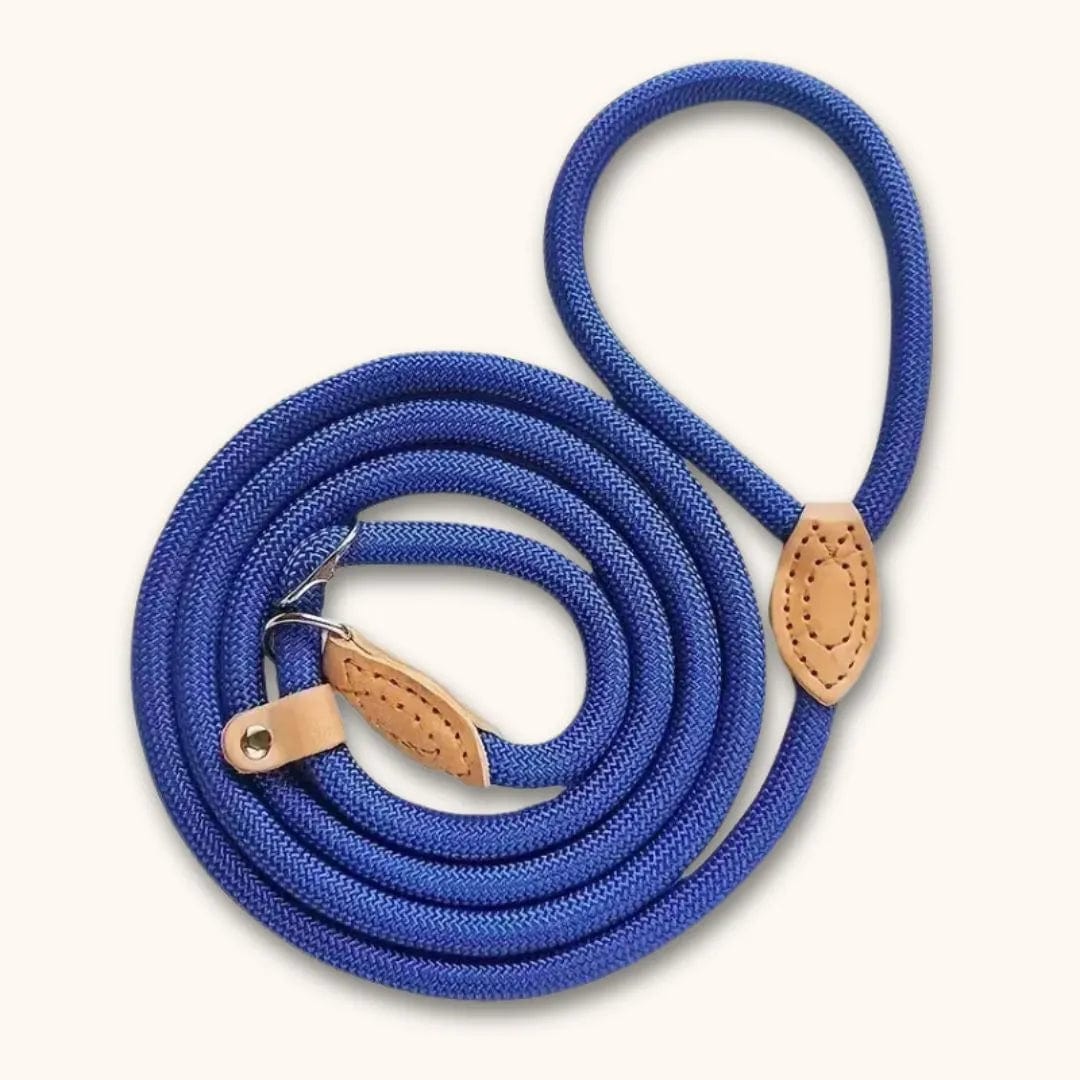 Laisse lasso pour chien : pratique et anti-étranglement Bleu / 1.3x150cm