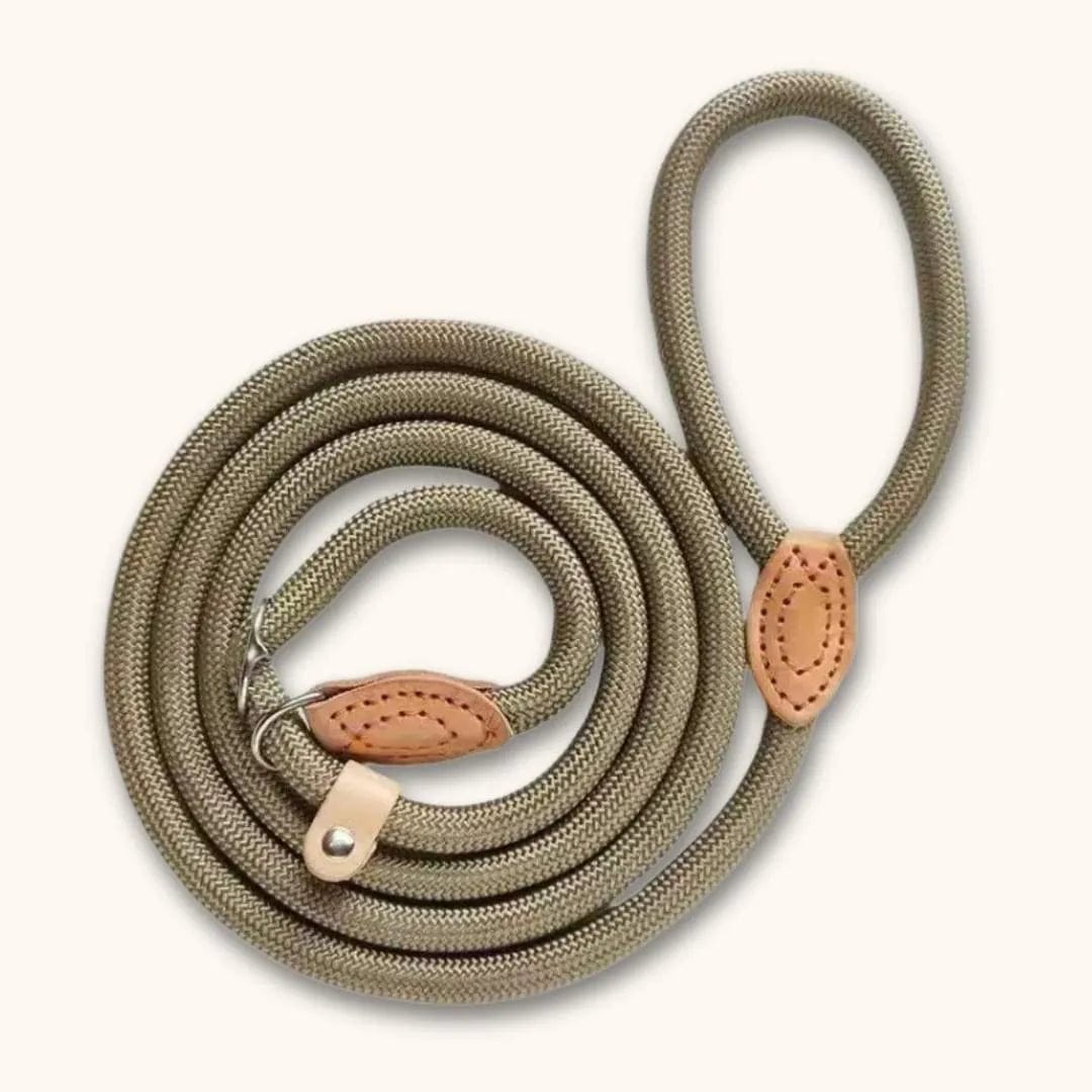 Laisse lasso pour chien : pratique et anti-étranglement Khaki / 1.3x150cm