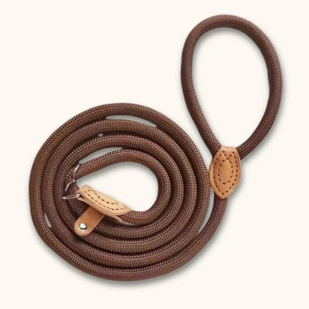 Laisse lasso pour chien : pratique et anti-étranglement Marron / 1.3x150cm