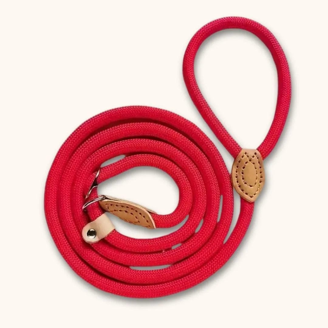 Laisse lasso pour chien : pratique et anti-étranglement Rouge / 1.3x150cm