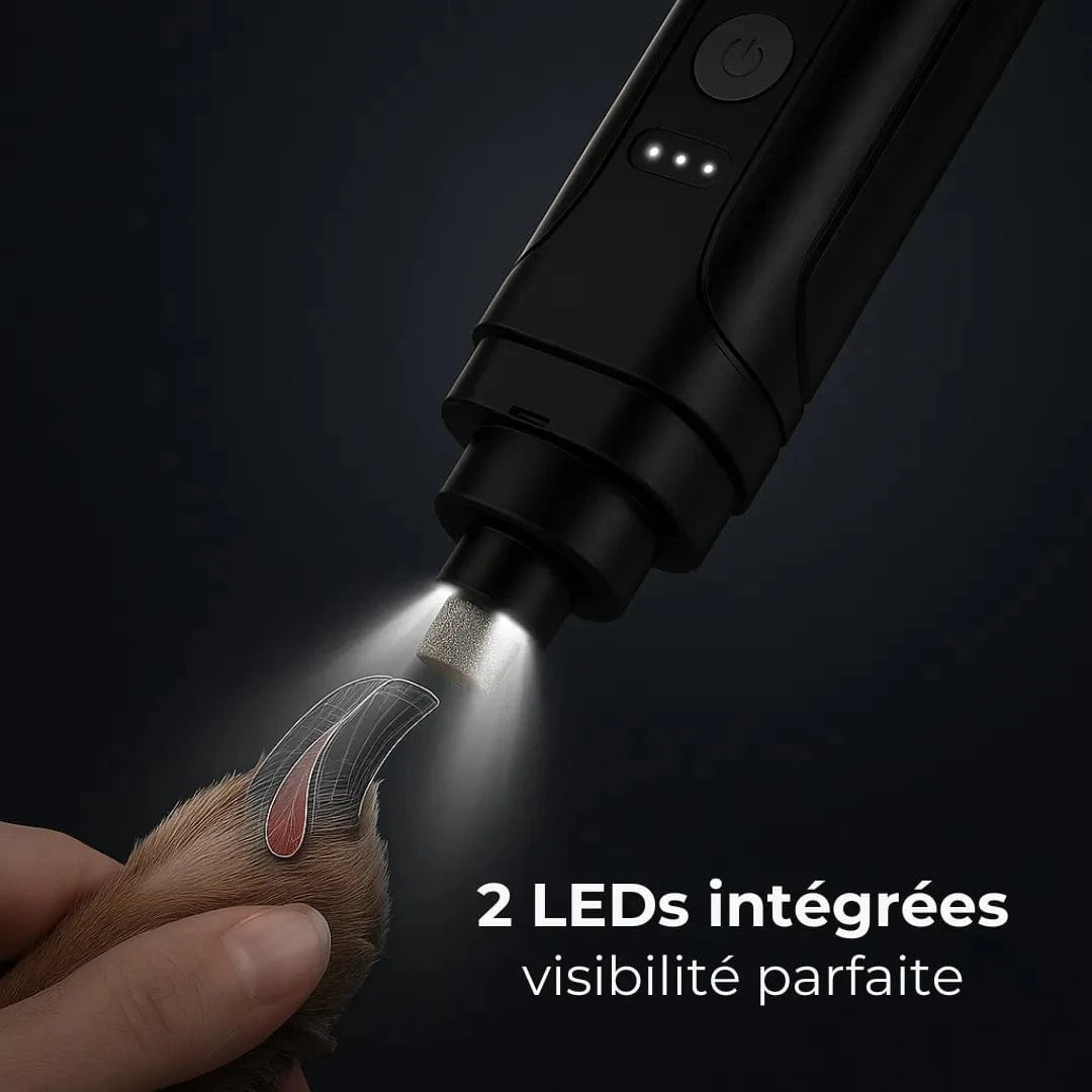 Lime électrique ultra-silencieuse pour griffes - ZenGriff