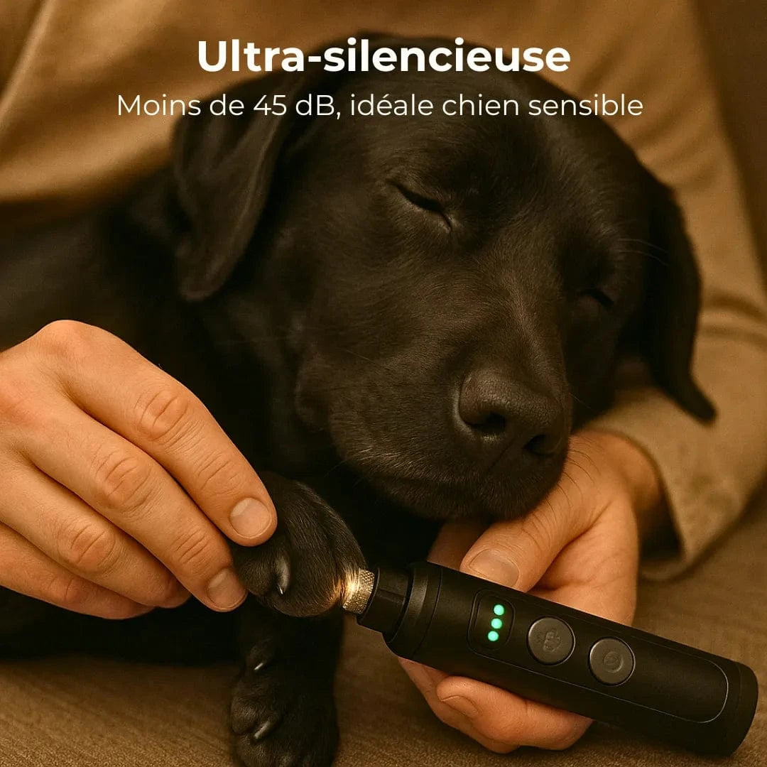 Lime électrique ultra-silencieuse pour griffes - ZenGriff