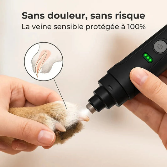 Lime électrique ultra-silencieuse pour griffes - ZenGriff