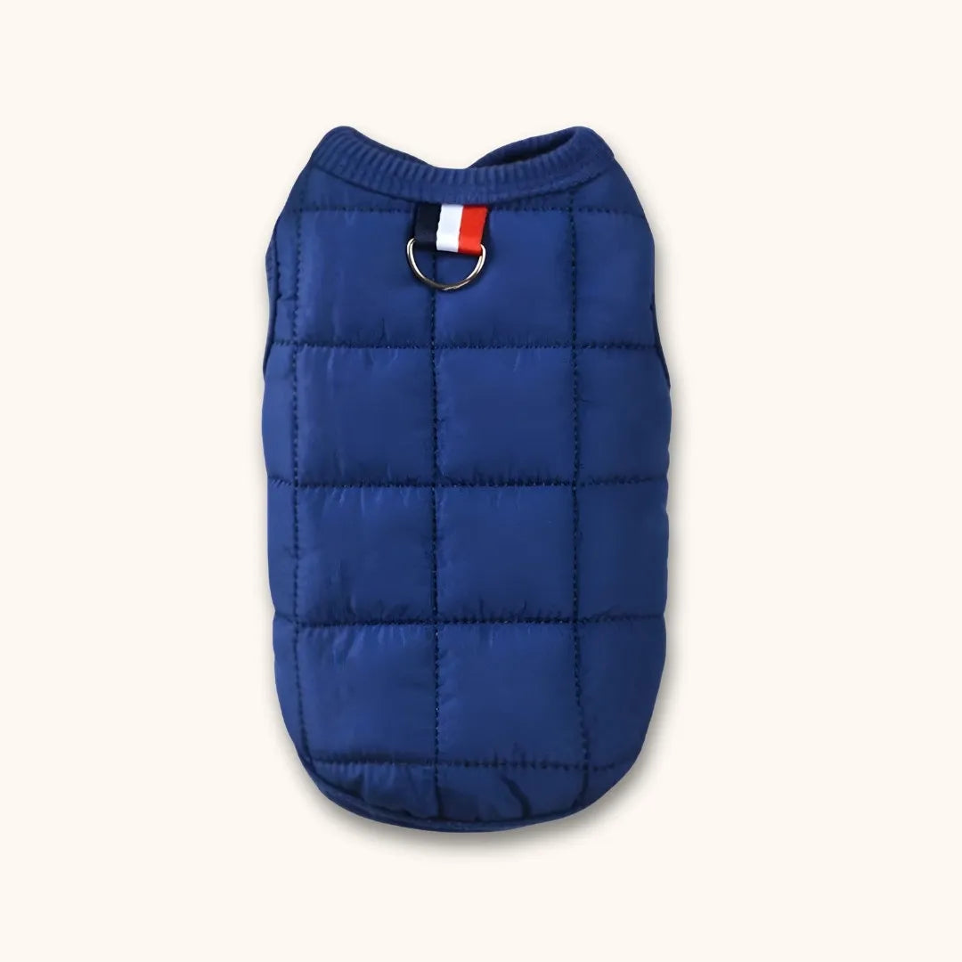 manteau chihuahua