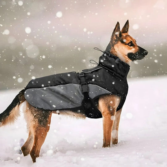 Manteau Malinois - Imperméable, Résistant et Ajustable