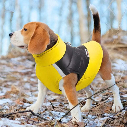 Manteau pour Beagle Style Doudoune | K9 Unit