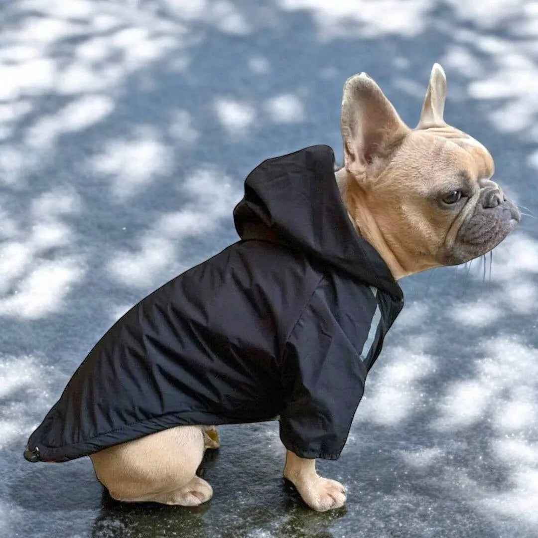Veste à Capuche Protectrice UPF 50+ Pour Chien - Manches Longues, Poche Et Fermeture Intégrale - Taille XL