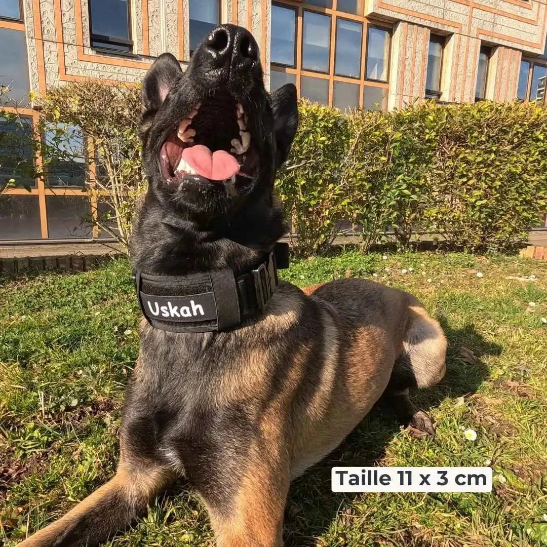 Patch personnalisé chien – Nom, téléphone ou info utile