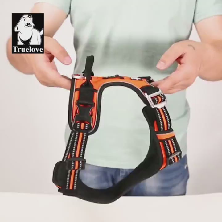 Harnais anti-traction en Y - Moderne & ergonomique