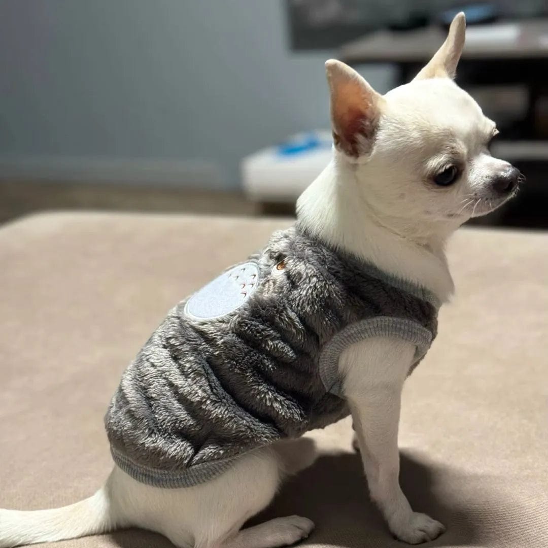 Pull Rigolo pour Chien - Motif Koala