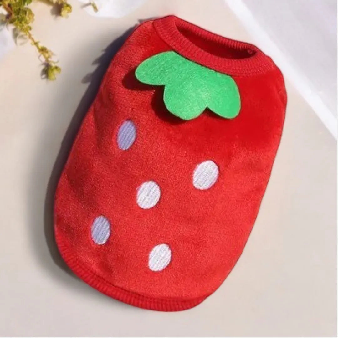 Pull Rigolo pour Petit Chien : Motif Fraises XXS