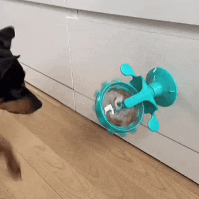 Roue à friandises pour chien - Croq’n’Roll, le jouet malin