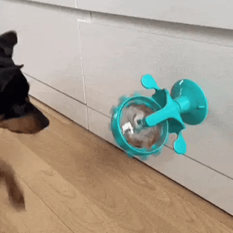 Roue à friandises pour chien - Croq’n’Roll, le jouet malin