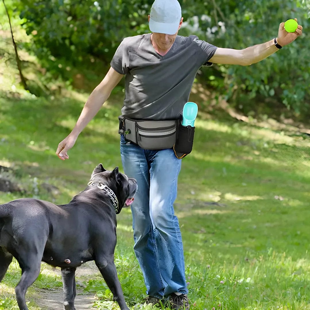 Sac à friandises chien - Innovant et Multifonctionnel