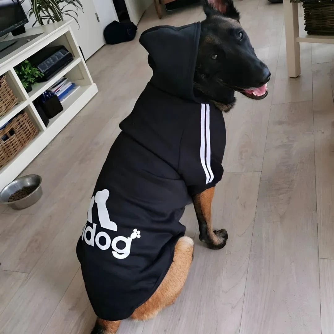 Sweat Grand Chien - Adidog