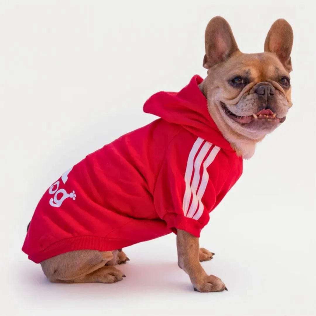 Sweat Petit Chien - Adidog