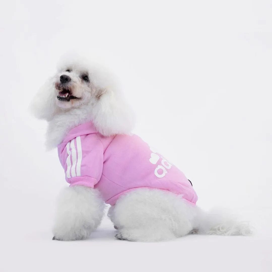 Sweat Petit Chien - Adidog