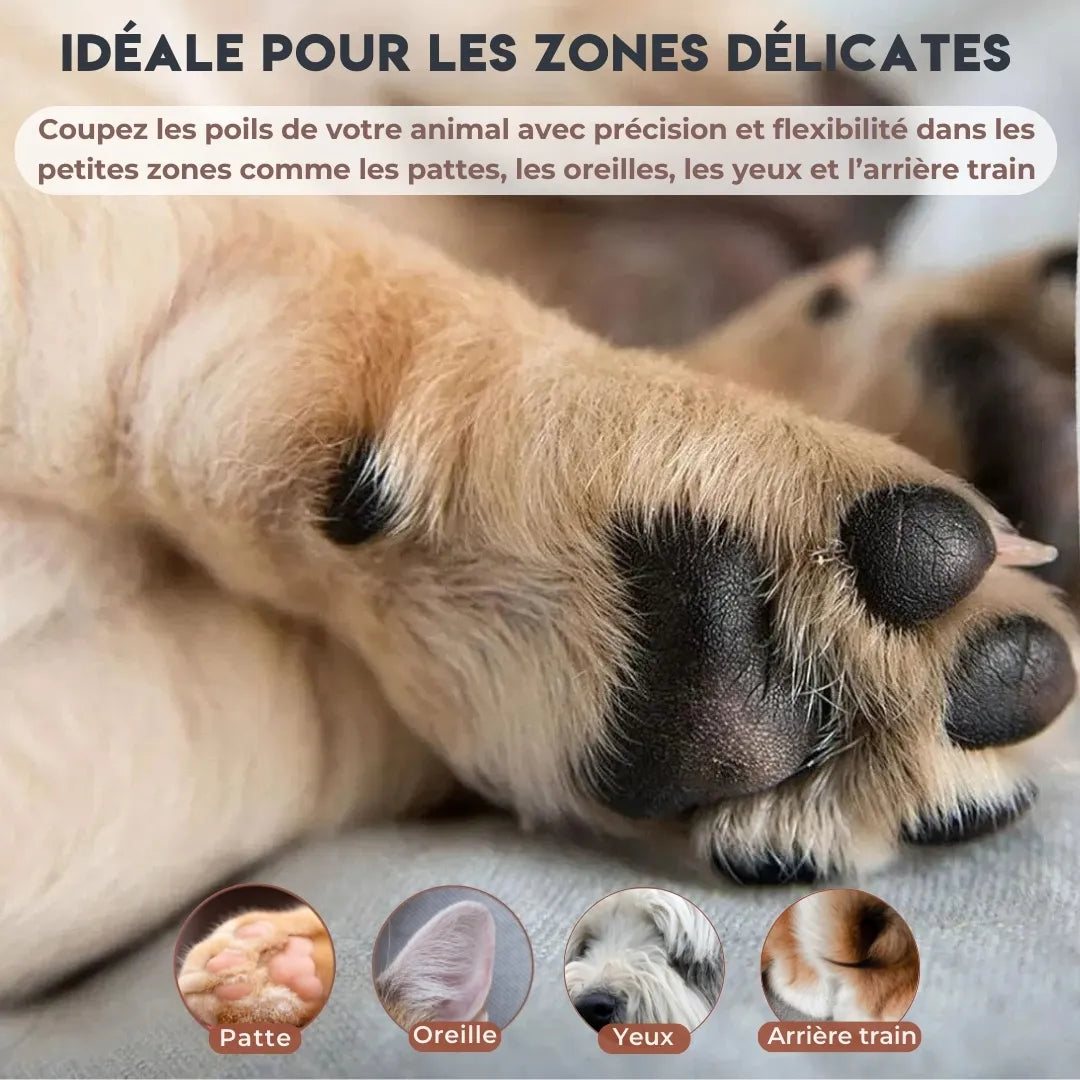 Tondeuse Pattes Chien - PawCare