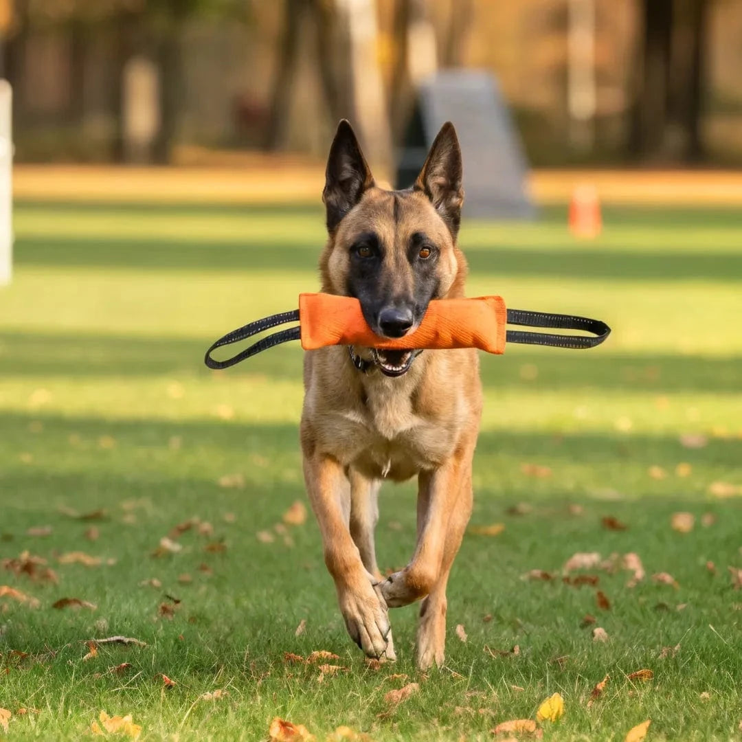Tug pour chien - K9 TugMax : Jouet de motivation
