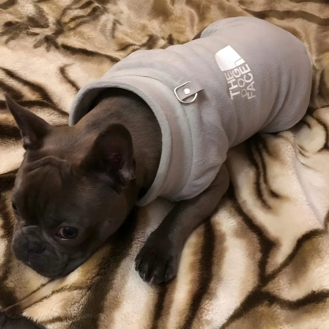 Veste Bouledogue Français - Confortable & Originale