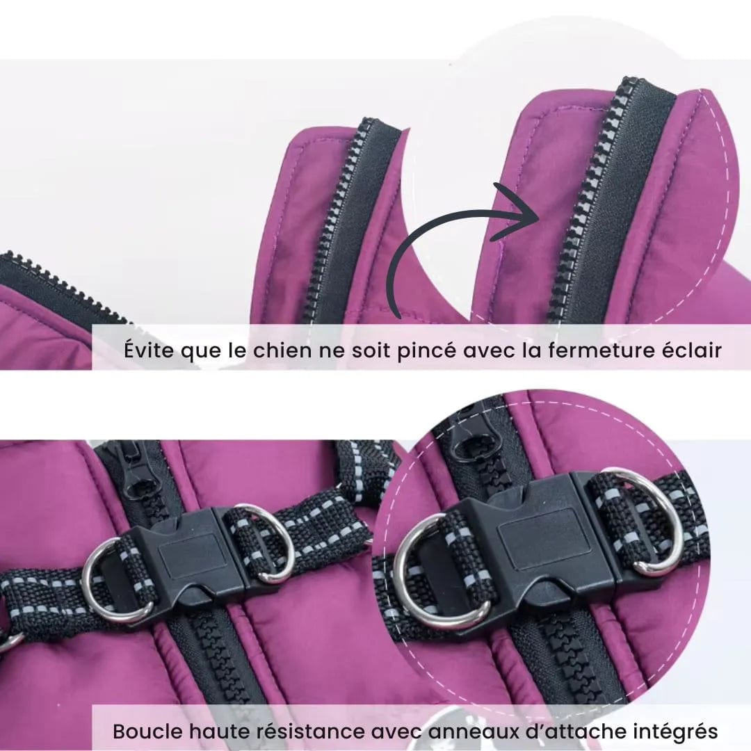 Veste imperméable pour chien avec harnais intégré